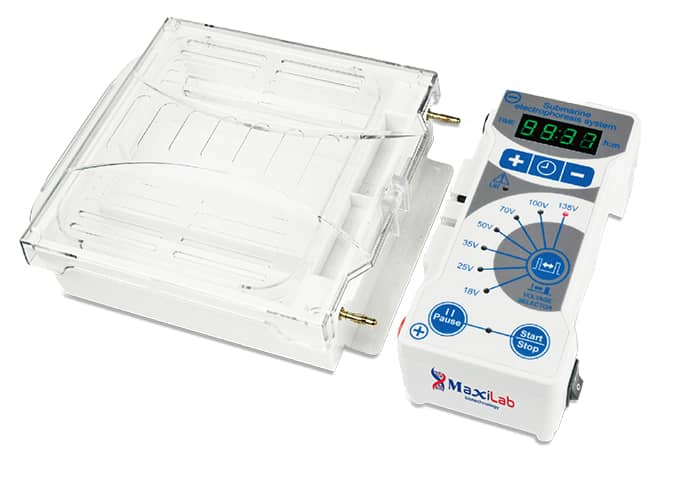 Horizontal Gel Electrophoresis system