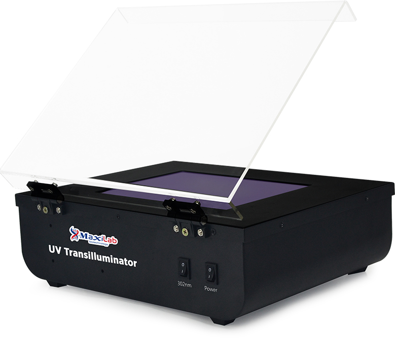 UV Transilluminatör