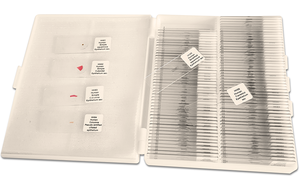 Other Prepared Microscope Slide Sets